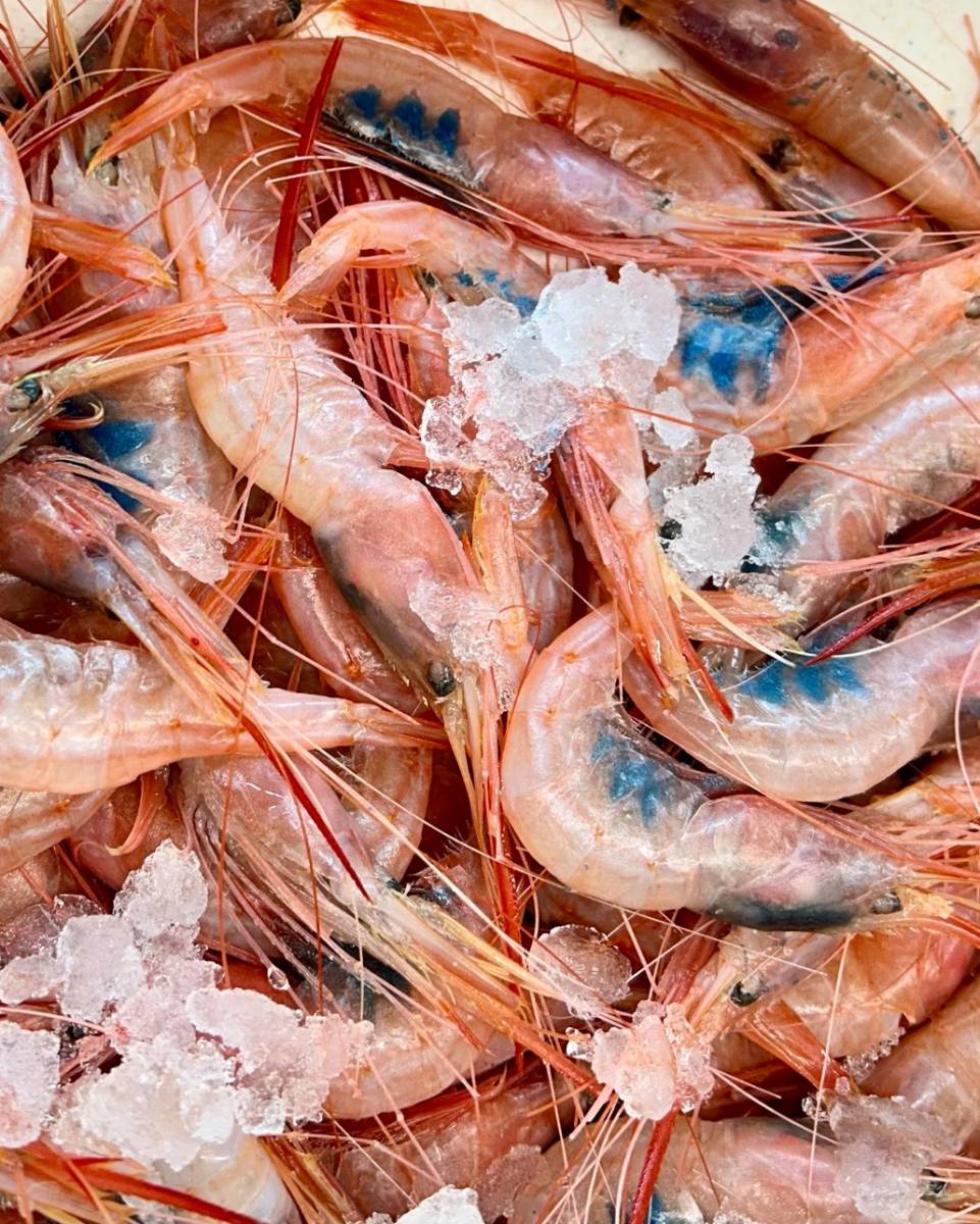 comer buen marisco en Sevilla