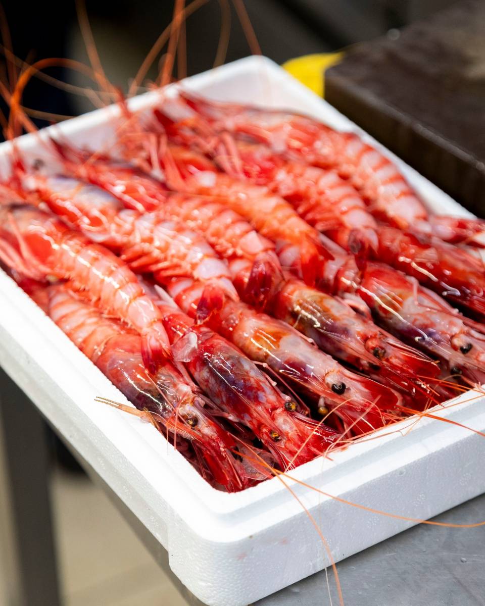 comer buen marisco en Sevilla