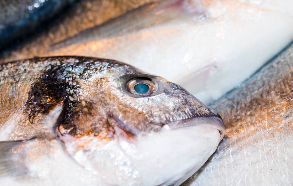 restaurante de pescado en Sevilla