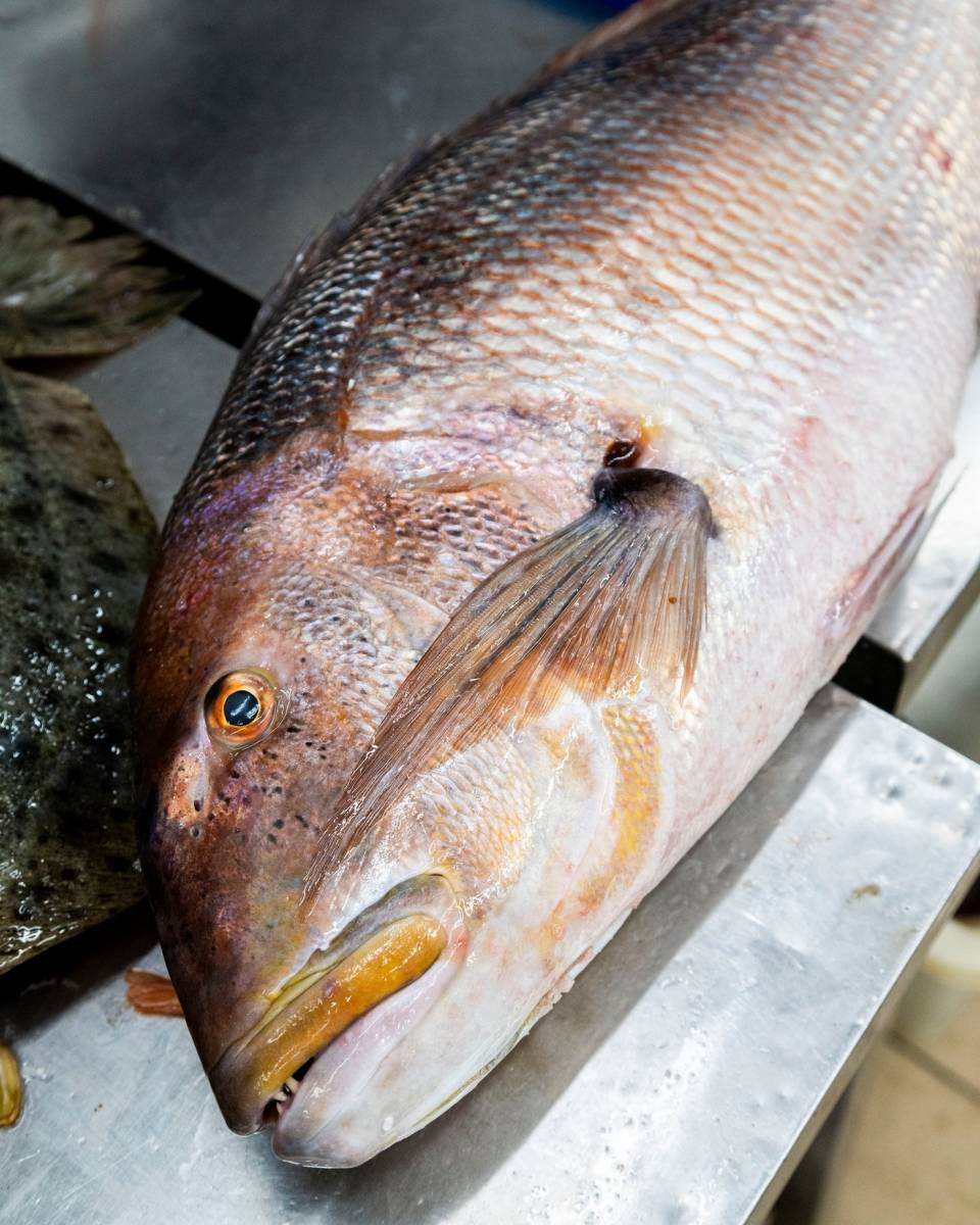 restaurante de pescado en Sevilla